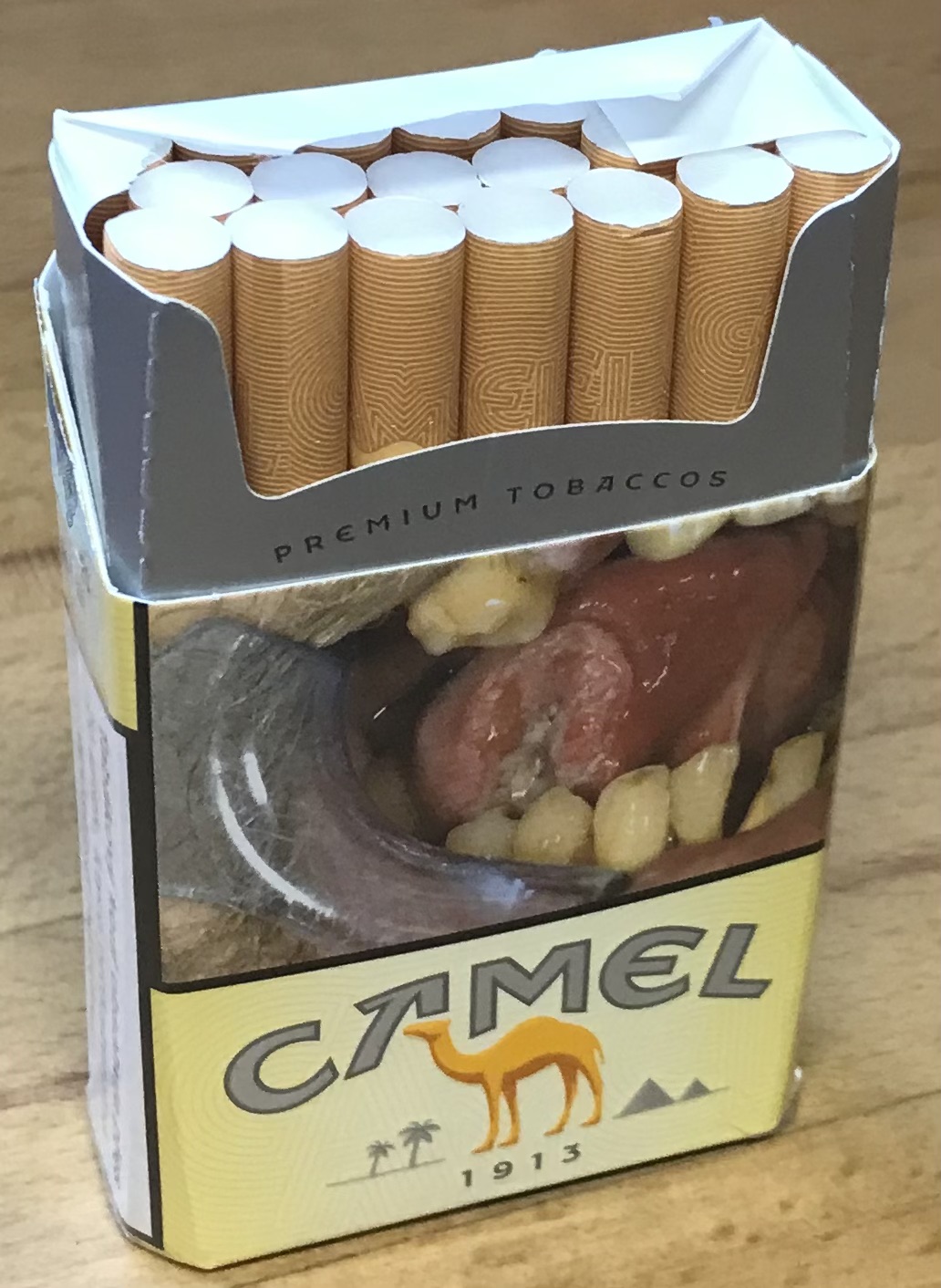 camel_orig_02